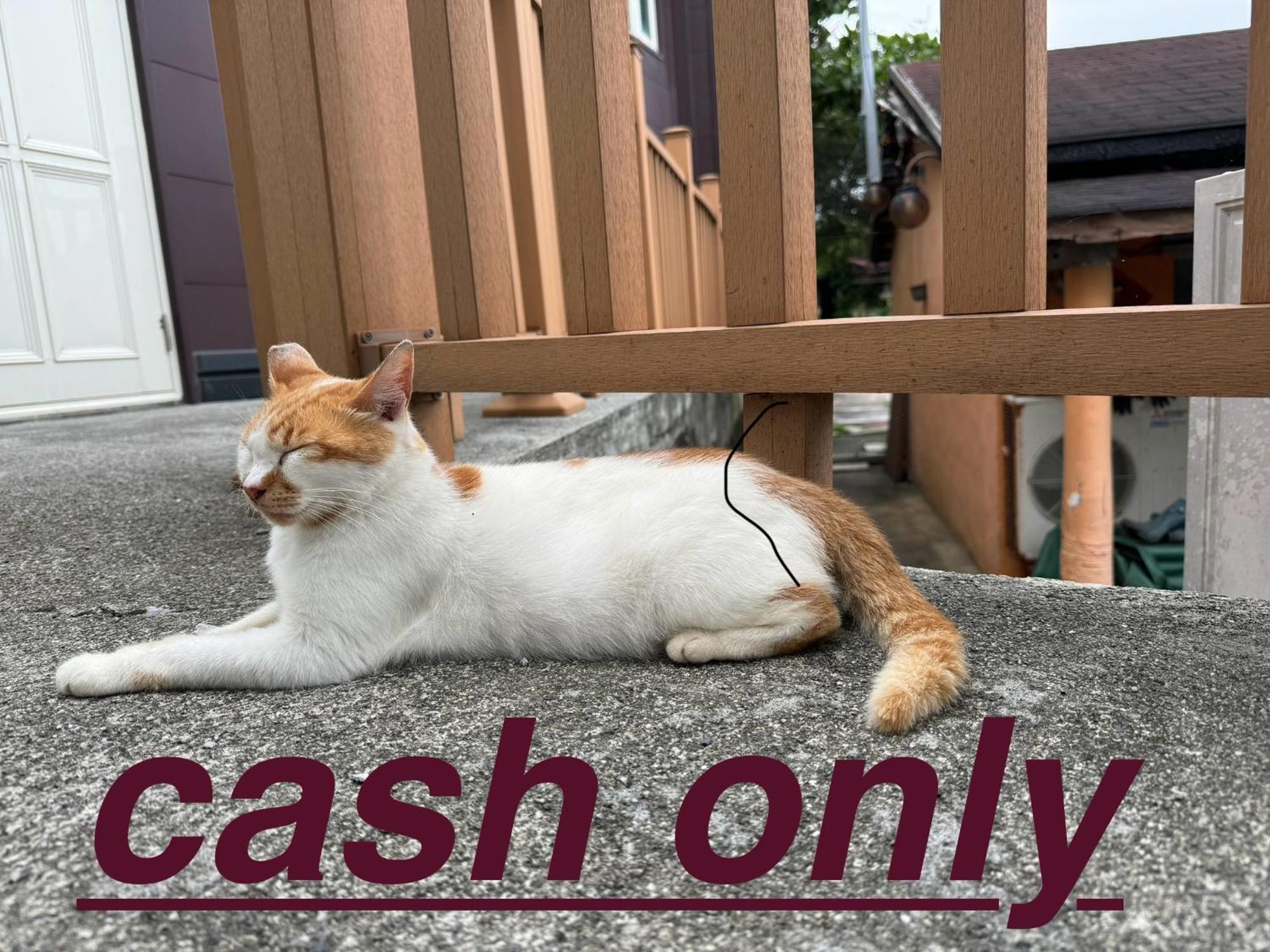 貓居 Ocean House Apartment Dahan Ngoại thất bức ảnh