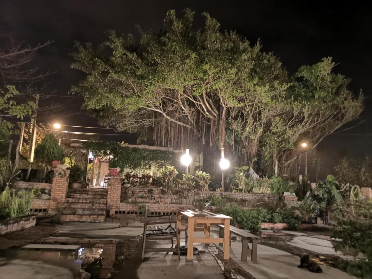 貓居 Ocean House Apartment Dahan Ngoại thất bức ảnh